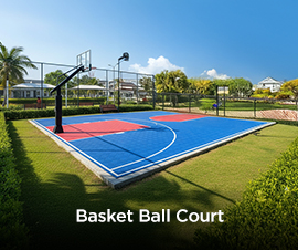 Basket Ball Court