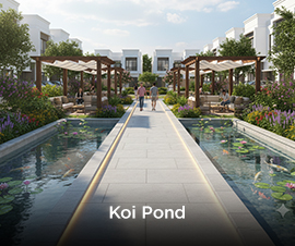 Koi Pond