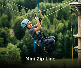 Mini Zip Line
