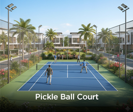 Pickle Ball Court